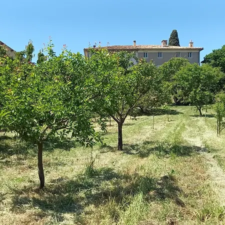 Appartamento De L'olivier