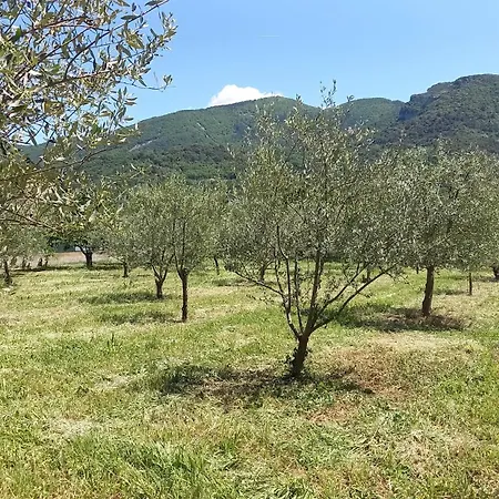 Appartamento De L'olivier Nyons