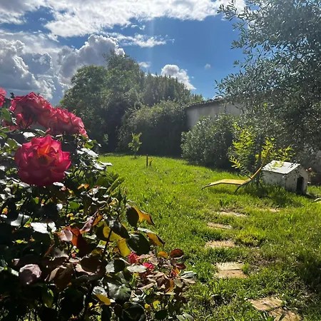 De L'olivier